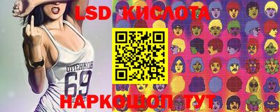 2c-b Камышлов