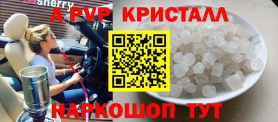 молекула духа Кингисепп
