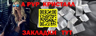 молекула духа Кингисепп