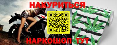 сатива Кандалакша
