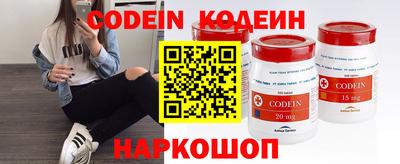 молекула духа Кингисепп