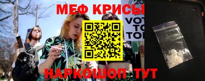 молекула духа Кингисепп