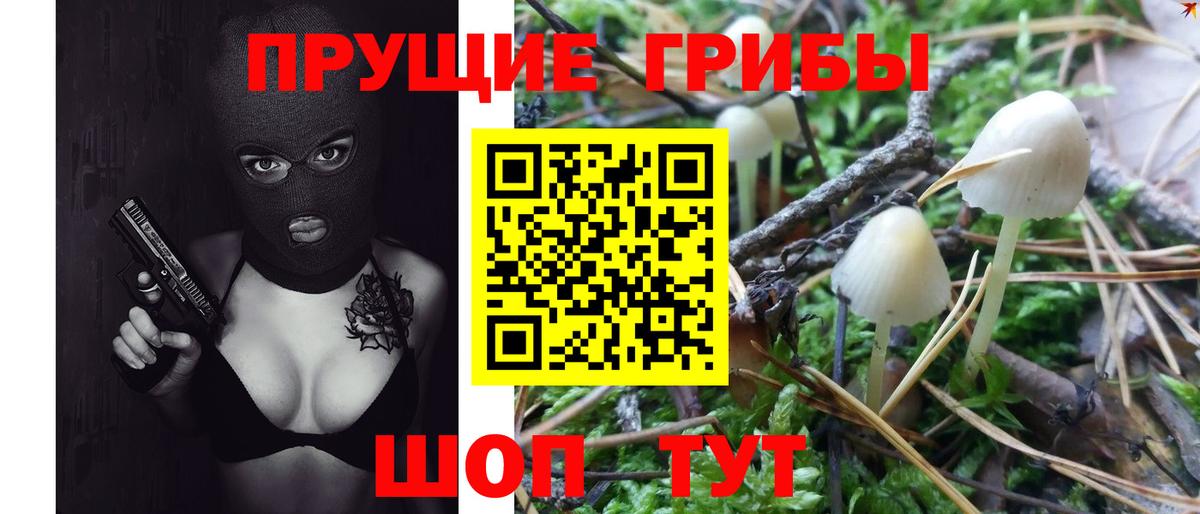 Псилоцибиновые грибы Magic Shrooms  Псилоцибиновые грибы Psilocybine cubensis  Вход с VPN  Чехов 