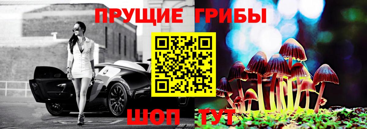 Галлюциногенные грибы Cubensis Чехов